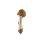 Bear Talking Pen/Bear Reading Pen