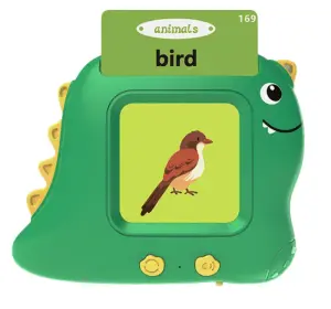 Dinosaur Flash Card Machine